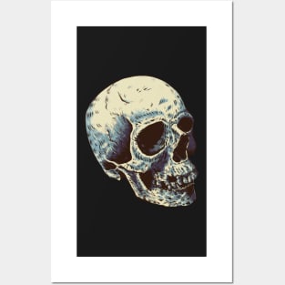 Skull Posters and Art